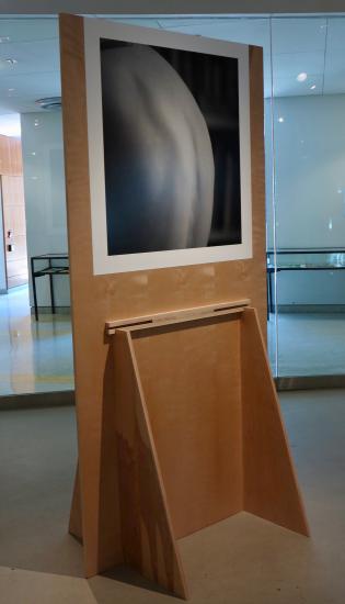photo on wood structure 